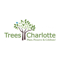 Trees Charlotte